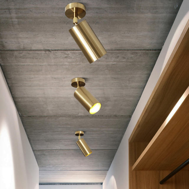 Vermenigvuldiging Eigen Hoopvol Mid Century Modern 1 Light LED Brass Ceiling Light Directional Spot Light  for Kitchen /Hallway /Bar