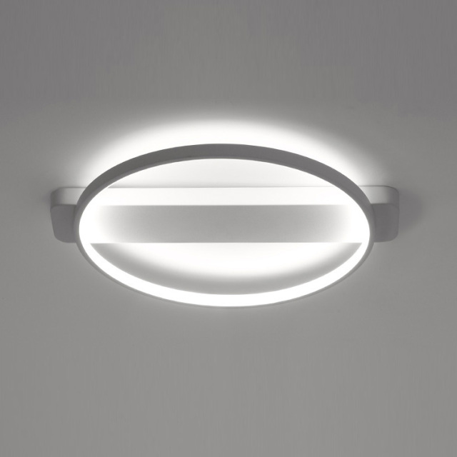 Modern White LED Ring Flush Mount Ceiling Light for Bedroom Kitchen Living Room