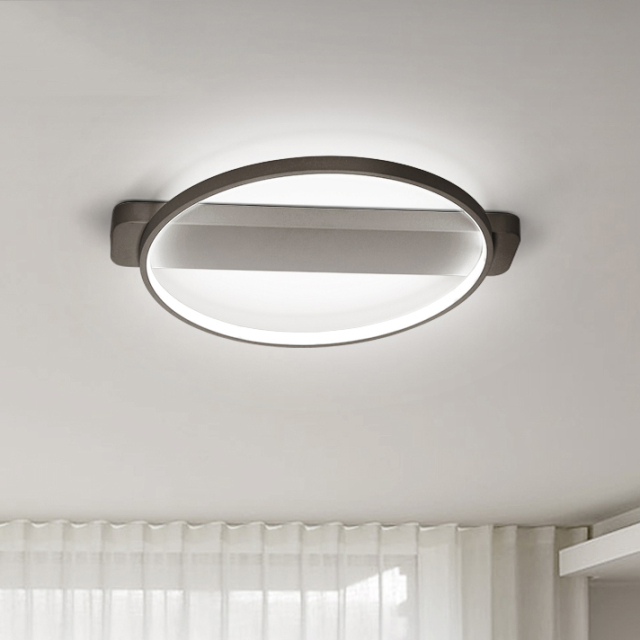 Modern White LED Ring Flush Mount Ceiling Light for Bedroom Kitchen Living Room