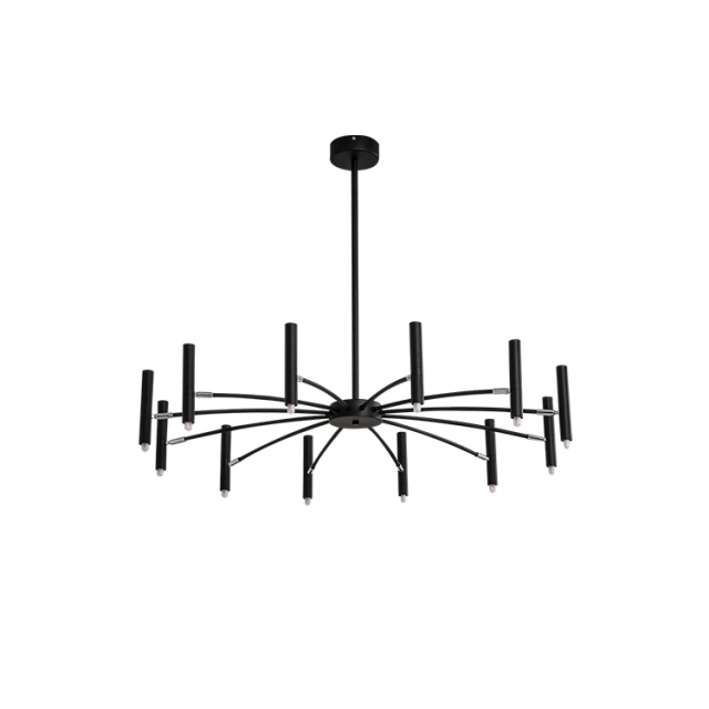 Modern 24 Light Large Black Radial Chandelier with Adjustable Heads for Living Room Foyer Entryway