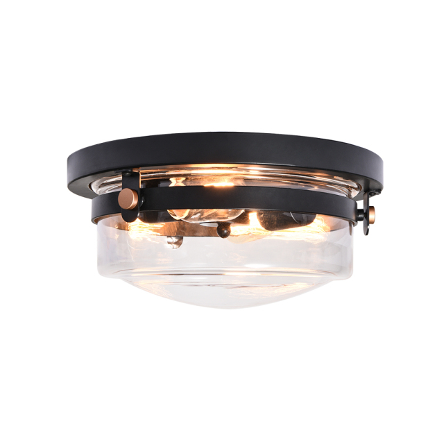 Modern Farmhouse 2-Light Drum Flush Mount Industrial Clear Glass Shade Ceiling Light Fixtures for Kitchen/ Living Room