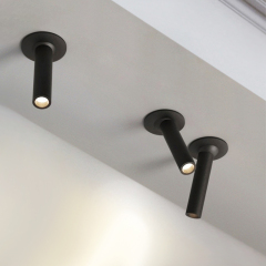 Modern Minimalist Metal COB LED Ceiling Mounted Spot Light Fixture Decorative Light for Kitchen/ Hallway/ Entryway