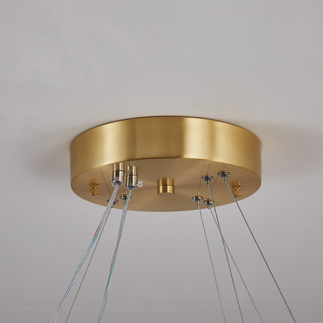 Minimalist Modern LED Pendant Lighting Oval Circular Ring Linear Chandelier