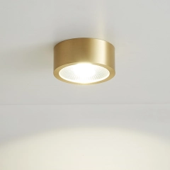 Modern Minimalist Small Brass LED Flush Mount Ceiling Light in Circle Round Shape