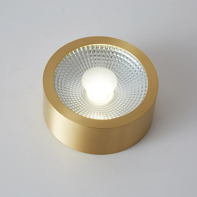 Modern Minimalist Small Brass LED Flush Mount Ceiling Light in Circle Round Shape