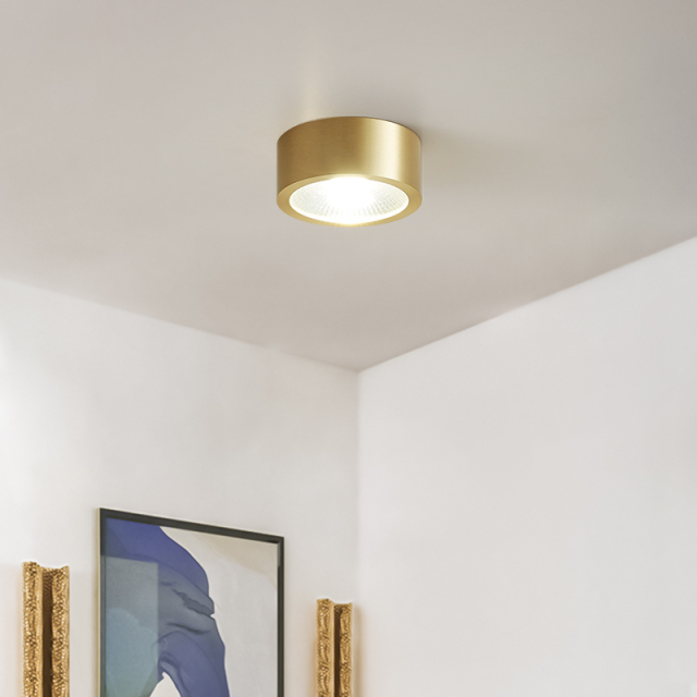 Modern Minimalist Small Brass LED Flush Mount Ceiling Light in Circle Round Shape