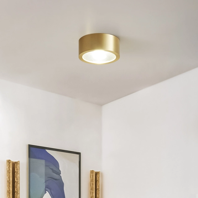 Modern Minimalist Small Brass LED Flush Mount Ceiling Light in Circle Round Shape