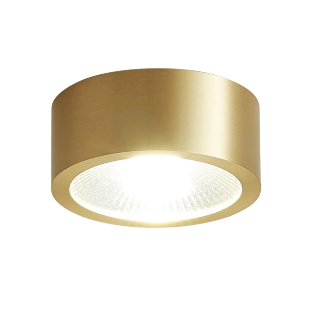 Modern Minimalist Small Brass LED Flush Mount Ceiling Light in Circle Round Shape