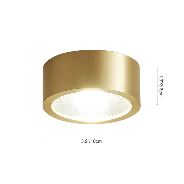 Modern Minimalist Small Brass LED Flush Mount Ceiling Light in Circle Round Shape