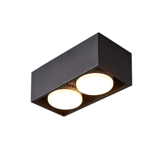 Modern Minimalist LED 2-Light Black Rectangular Flush Mount Ceiling Light for Bedroom Hallway