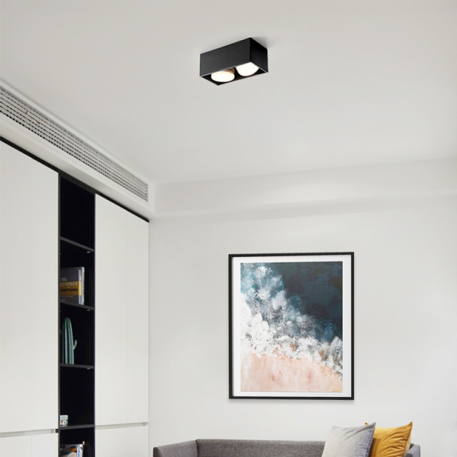 Modern Minimalist LED 2-Light Black Rectangular Flush Mount Ceiling Light for Bedroom Hallway