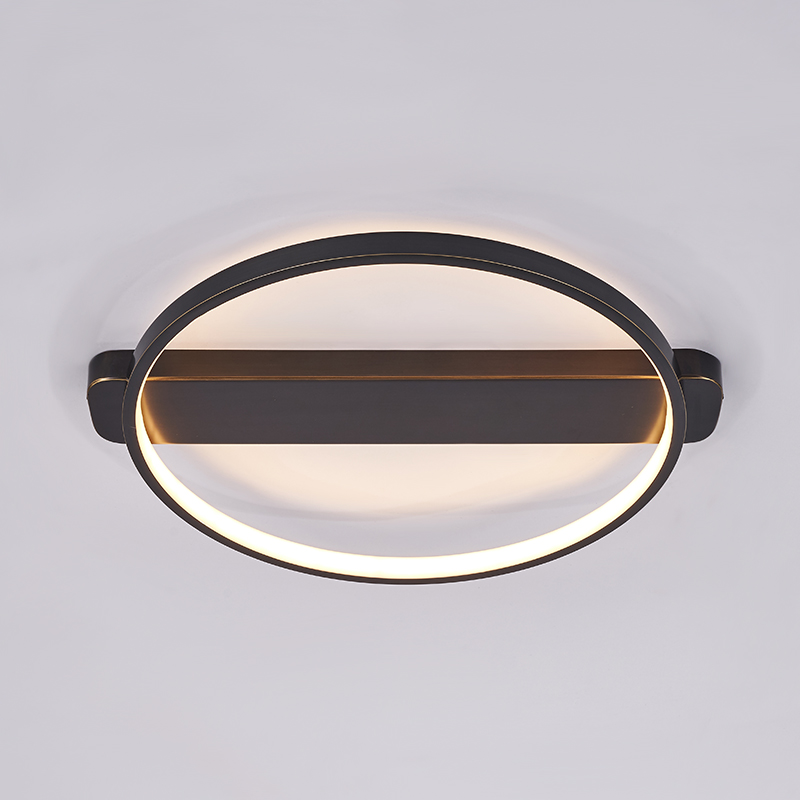 Minimalist Modern Black Round Glass Shade Hollow Surface LED Flush Mount Ceiling Lights for Living Room Study Room