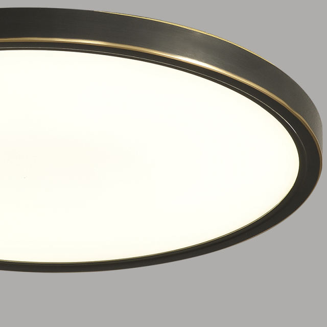 Modern Ultrathin LED Lighting Round Flush Mount Ceiling Lights in