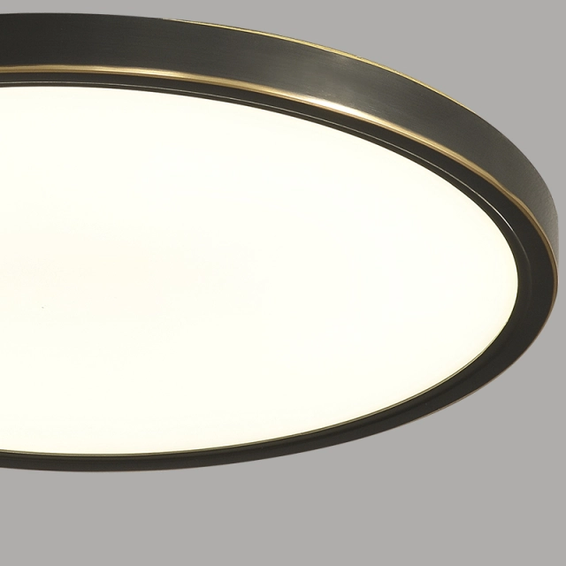 Modern Ultra-thin LED Lighting Round Flush Mount Ceiling Lights in Black for Bedroom Dining Room Living Room