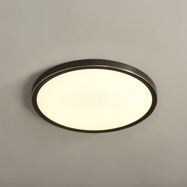 Modern Ultra-thin LED Lighting Round Flush Mount Ceiling Lights in Black for Bedroom Dining Room Living Room