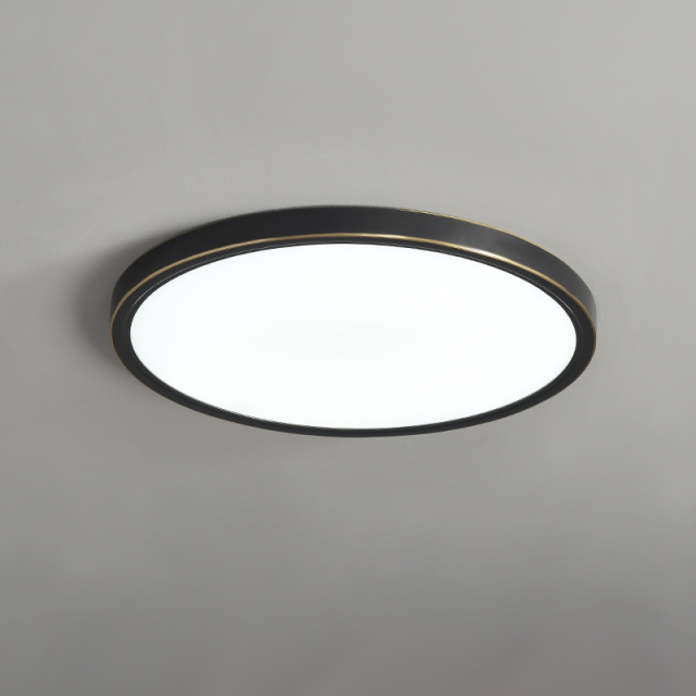 Modern Ultra-thin LED Lighting Round Flush Mount Ceiling Lights in Black for Bedroom Dining Room Living Room