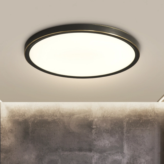 Modern Ultra-thin LED Lighting Round Flush Mount Ceiling Lights in Black for Bedroom Dining Room Living Room