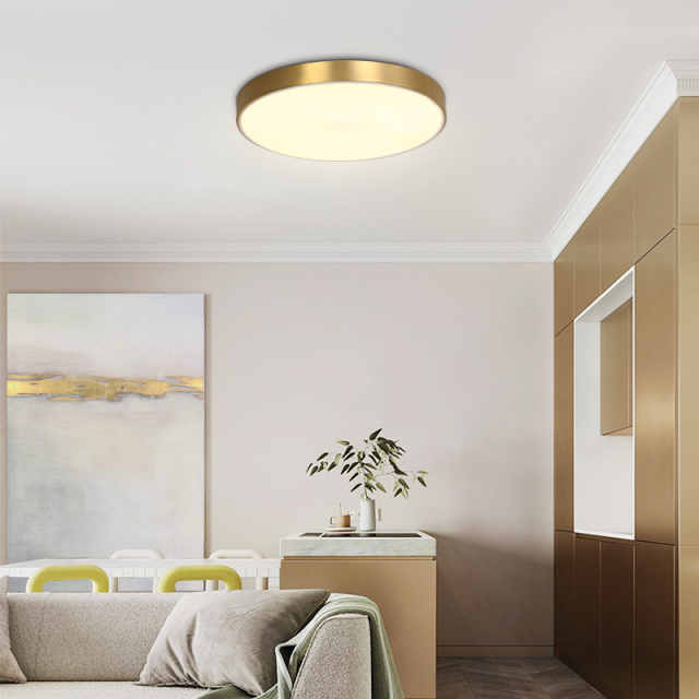 Contemporary Brass Round Shade LED Flush Mount Ceiling Lights for Living Room Bedroom Study Room