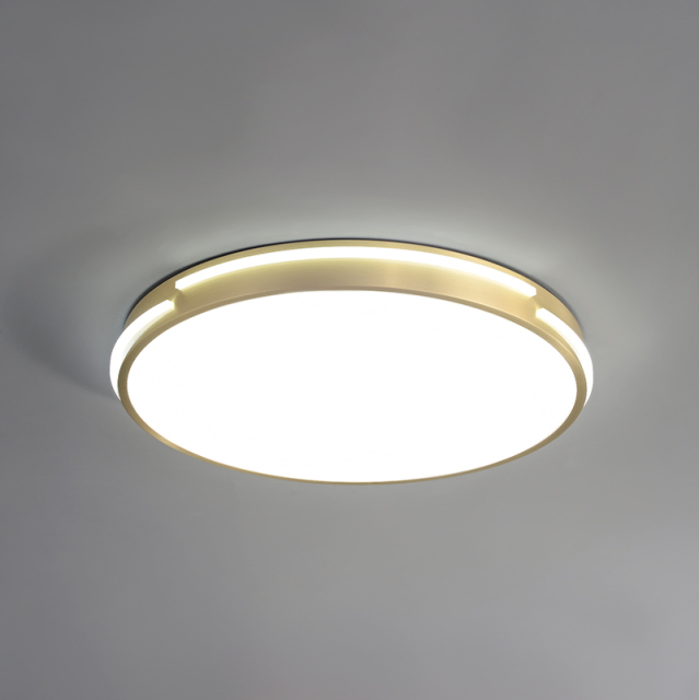 Modern Gold Round Shape LED Flush Mount Ceiling Lights for Living Room Hallway