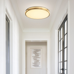 Modern Gold Round Shape LED Flush Mount Ceiling Lights for Living Room Hallway