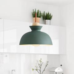 Modern Dome Shaped 1 Light 11.02