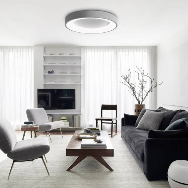 Modern Minimalist Round Shape LED Flush Mount Grey Ceiling Light for Living Room Hallway Home Office