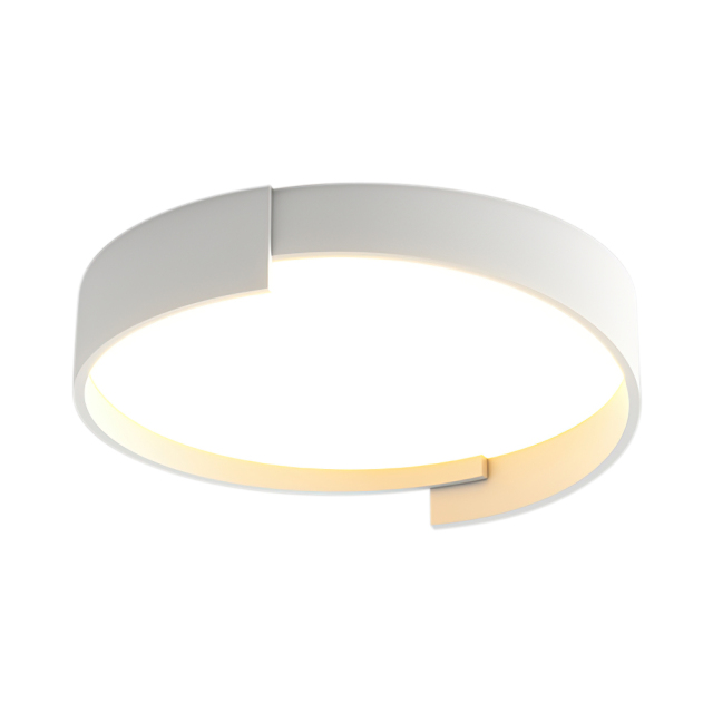 Modern Simplicity Circular Round LED Flush Mount Thin Ceiling Light For Hallway Home Office Living Room