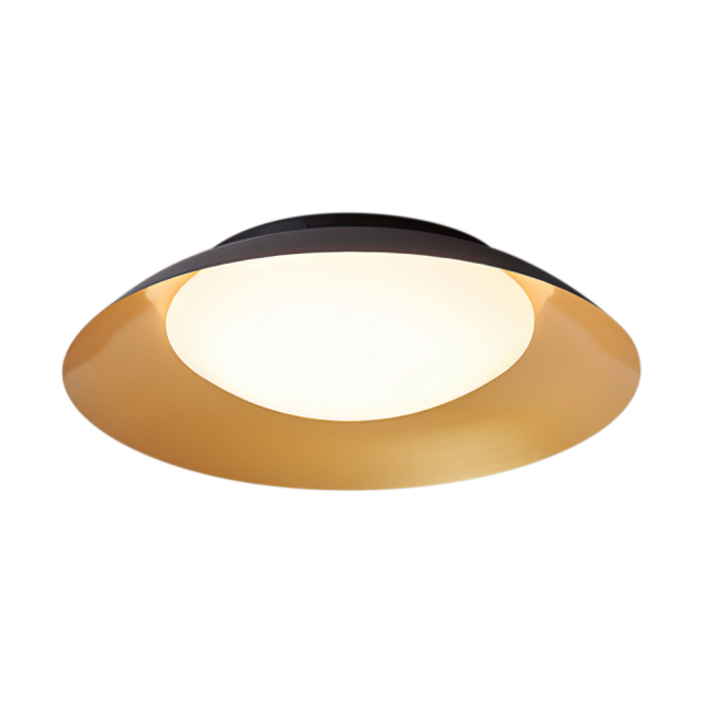 Modern Saucer LED Flush Mount Ceiling Light in Acrylic Diffuser For Living Room Hallway Home Office