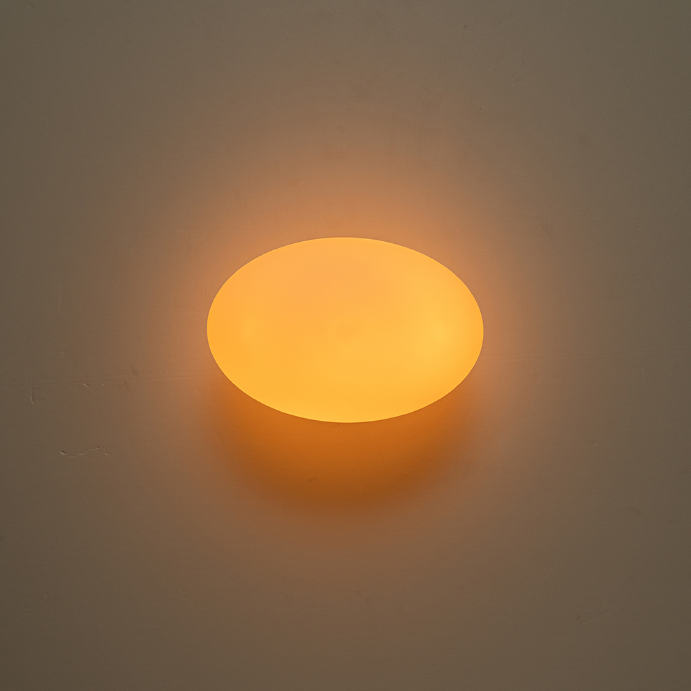 Modern Spherical Wall Light Oval Opal Glass Ball Wall Light Semi Flush Mount For Bedroom/Reading Room/ Hallway/ Entryway
