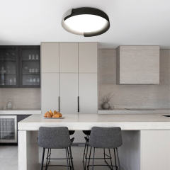 Modern Minimalist Round LED Flush Mount Ceiling Light with Acrylic & Metal For Hallway Home Office Living Room