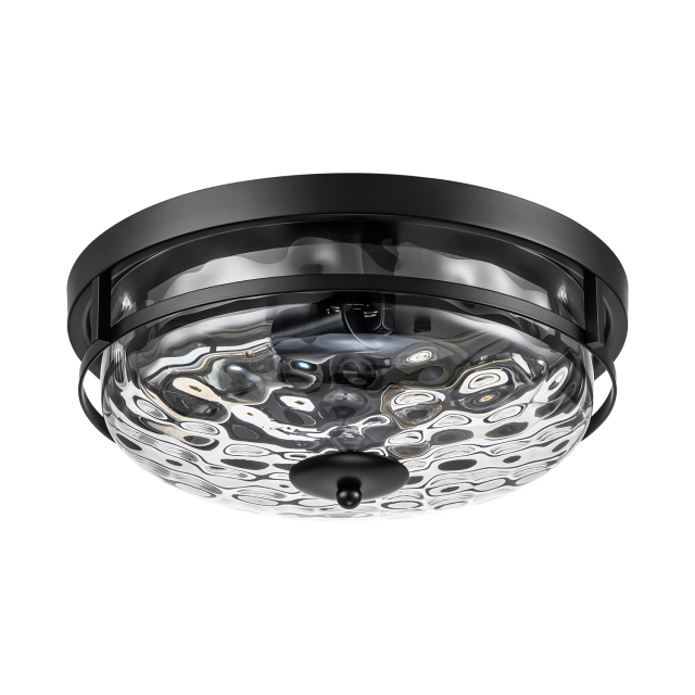 2-Light Clear Seeded Glass Flush Mount Black Ceiling Light