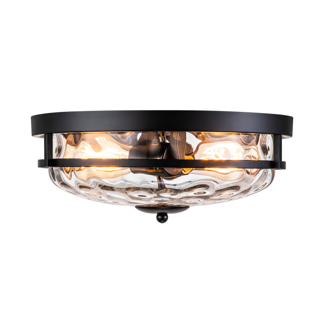 2-Light Clear Seeded Glass Flush Mount Black Ceiling Light