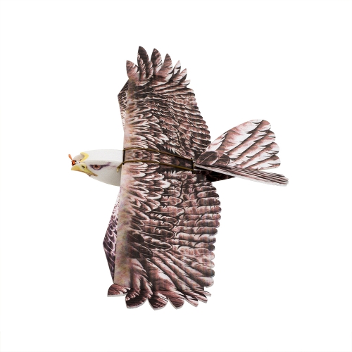 DW Hobby E19 Eagle Ⅱ モーター・アンプ・サーボ付 DW Hobby Eagle II モーター・アンプ・サーボ付き (1430mm) R