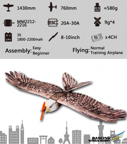 DW Hobby E19 Eagle Ⅱ モーター・アンプ・サーボ付 E19 RC