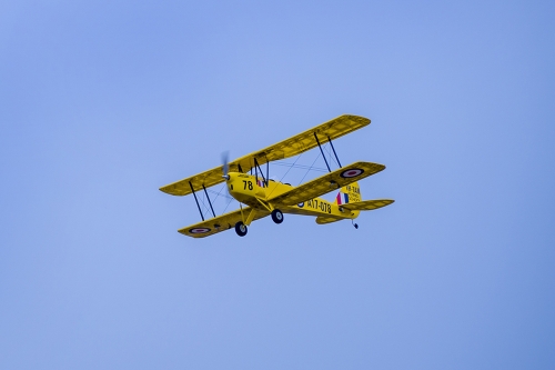 DW HOBBY New ARF Balsawood Airplane RC Model 800mm (32