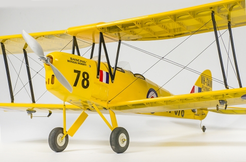 DW HOBBY New ARF Balsawood Airplane RC Model 800mm (32