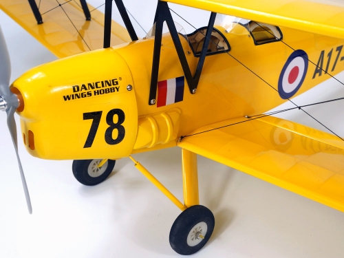 DW HOBBY New ARF Balsawood Airplane RC Model 800mm (32