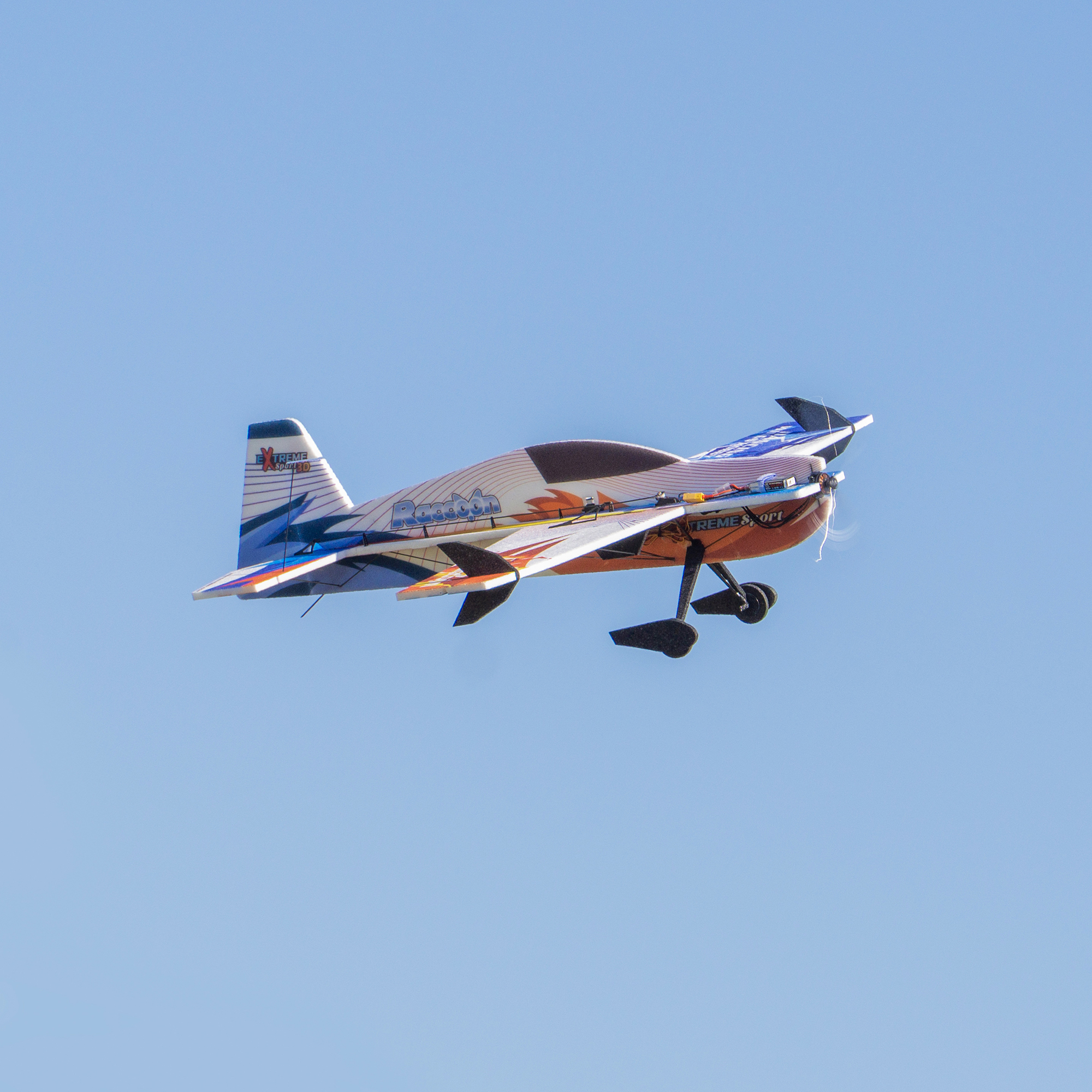 2026 NEW Raccoon 965mm 3D/4D Aerobatic EPP airplane E46 RC Aircraft ...