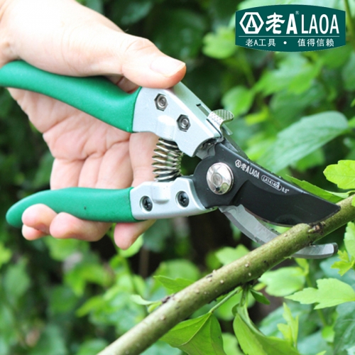 SK5 Pruners Garden Shears Fruit Tree Shears Garden Scissors