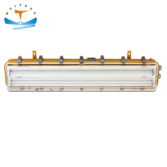 Explosion-proof Marine Fluorescent Pendant Light