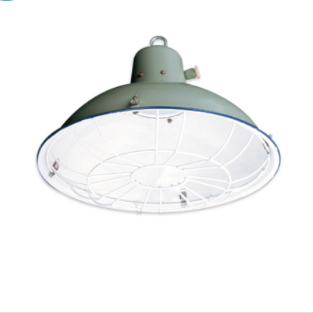 CGD2 Single Bulb Marine Cargo Light