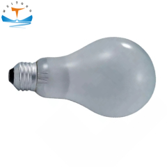 Marine Frosted Bulbs
