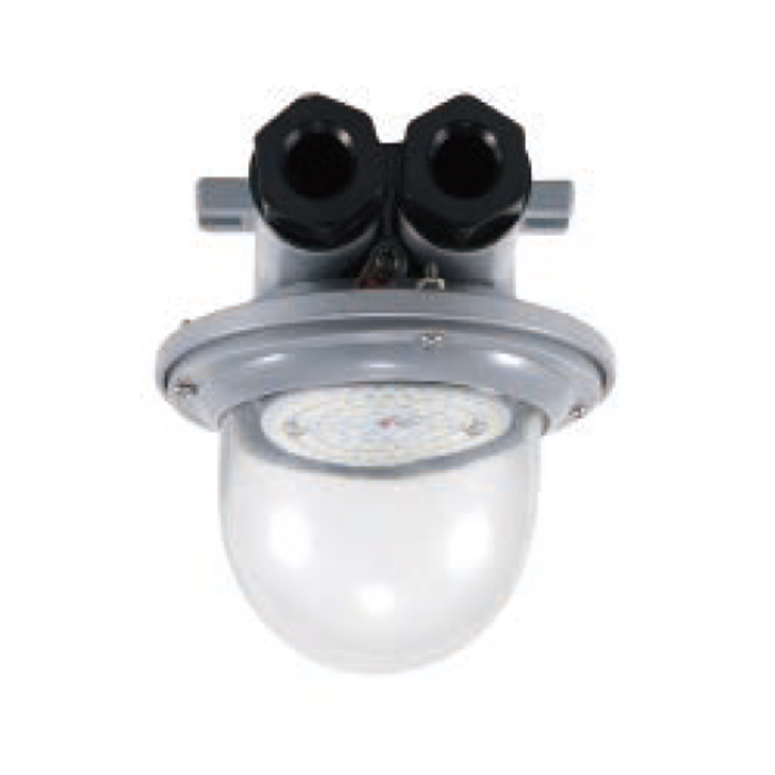 LED Marine Pendant Light