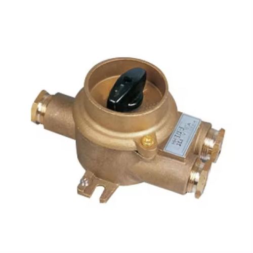 Brass Marine Switch