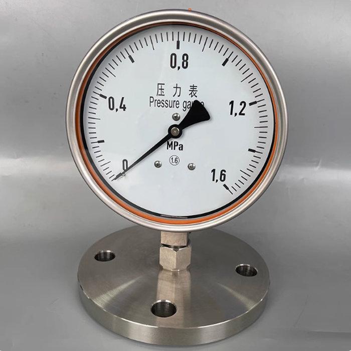 YUANWANG YC-100M-B Marine Diaphragm Sealed Pressure Gauge