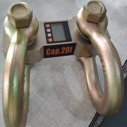 Electric Motor Dynamometer