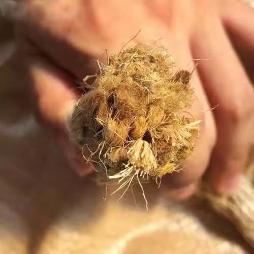 Dia. 6-60mm Manila Rope For Sale