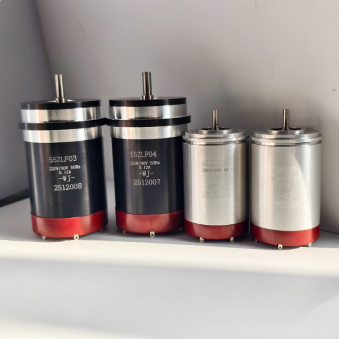 55ZLF02/55ZLF03/55ZLF04 Marine Self-Aligning Motor