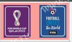 2022 World Cup patch