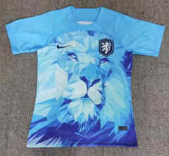 24-25 Netherlands Blue Thailand Soccer Jersey AAA-2282